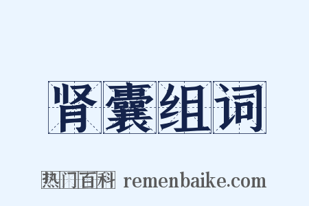 肾囊组词是什么意思的图片